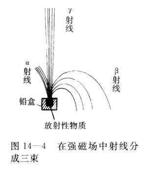 二、原子核的组成